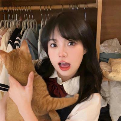 金牌贱猫:重新出击